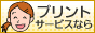 123de��Ǿ�ץ��ȥ����ӥ�